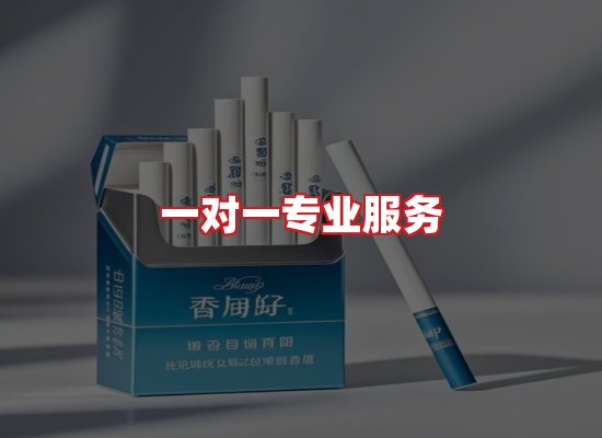 专业团队